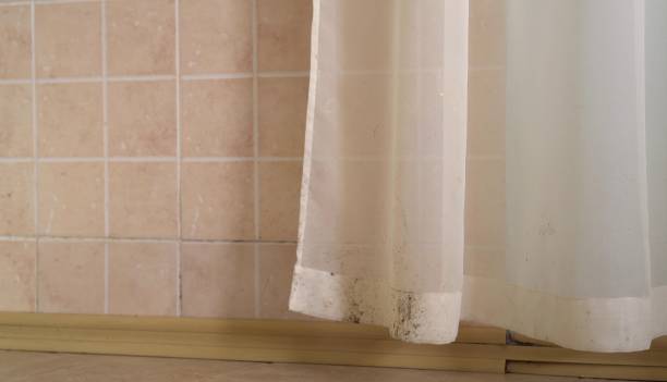 Best Real Estate Mold Inspection  in Tinton Falls, NJ