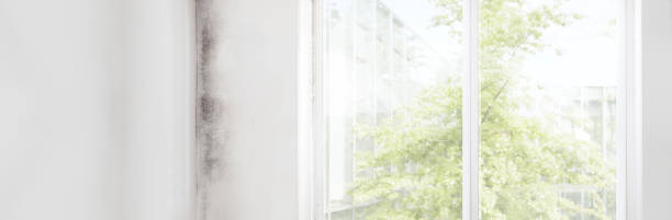 Best Airborne Mold Testing  in Tinton Falls, NJ