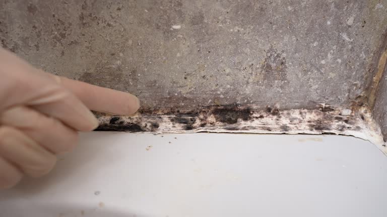 Best Mold Documentation for Insurance Claims  in Tinton Falls, NJ